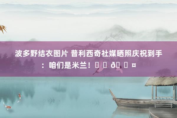 波多野结衣图片 普利西奇社媒晒照庆祝到手：咱们是米兰！❤️🖤