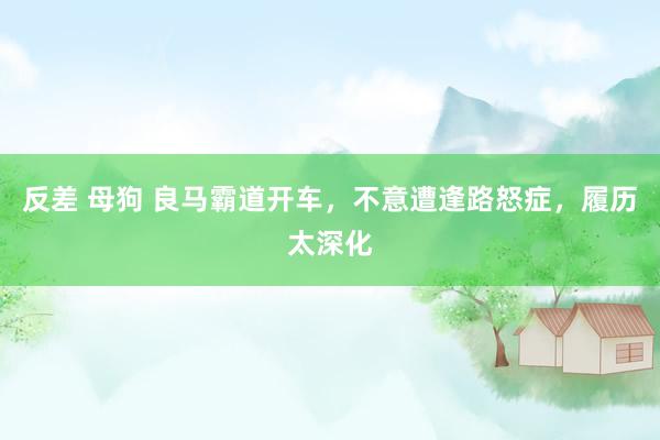 反差 母狗 良马霸道开车，不意遭逢路怒症，履历太深化