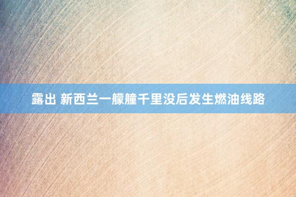 露出 新西兰一艨艟千里没后发生燃油线路