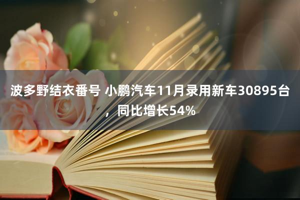 波多野结衣番号 小鹏汽车11月录用新车30895台，同比增长54%