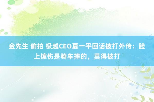 金先生 偷拍 极越CEO夏一平回话被打外传：脸上擦伤是骑车摔的，莫得被打