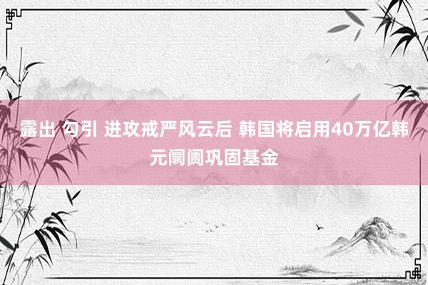 露出 勾引 进攻戒严风云后 韩国将启用40万亿韩元阛阓巩固基金