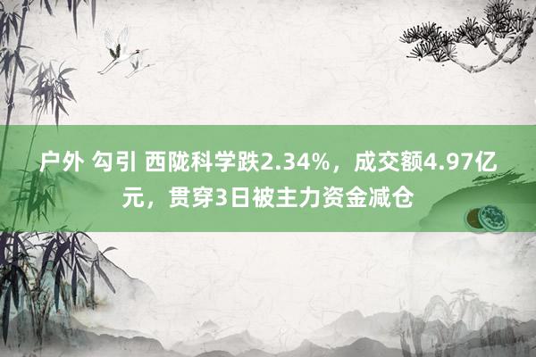 户外 勾引 西陇科学跌2.34%，成交额4.97亿元，贯穿3日被主力资金减仓
