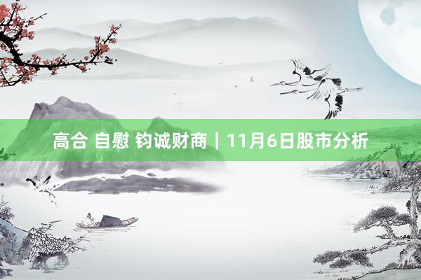 高合 自慰 钧诚财商｜11月6日股市分析