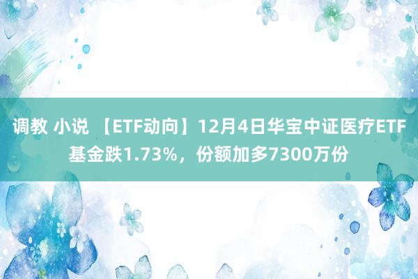 调教 小说 【ETF动向】12月4日华宝中证医疗ETF基金跌1.73%，份额加多7300万份