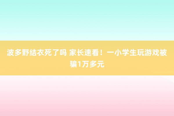 波多野结衣死了吗 家长速看！一小学生玩游戏被骗1万多元
