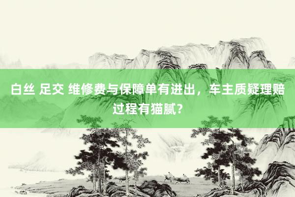 白丝 足交 维修费与保障单有进出，车主质疑理赔过程有猫腻？