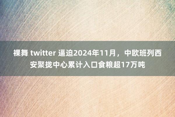 裸舞 twitter 逼迫2024年11月，中欧班列西安聚拢中心累计入口食粮超17万吨