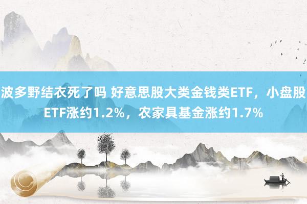 波多野结衣死了吗 好意思股大类金钱类ETF，小盘股ETF涨约1.2%，农家具基金涨约1.7%