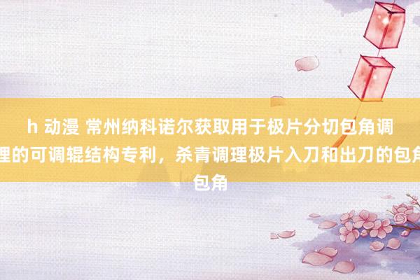 h 动漫 常州纳科诺尔获取用于极片分切包角调理的可调辊结构专利，杀青调理极片入刀和出刀的包角