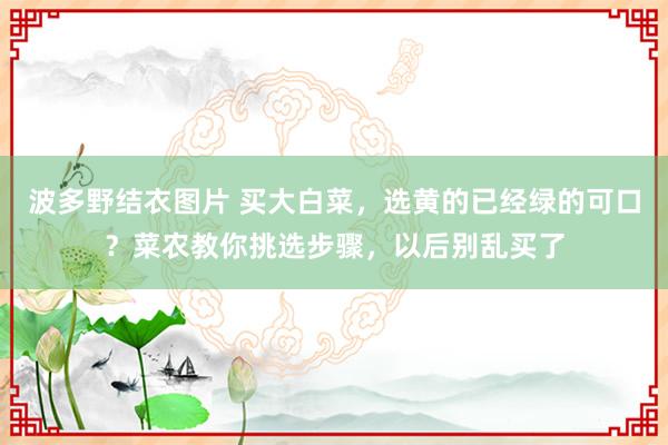 波多野结衣图片 买大白菜，选黄的已经绿的可口？菜农教你挑选步骤，以后别乱买了