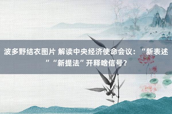 波多野结衣图片 解读中央经济使命会议：“新表述”“新提法”开释啥信号？