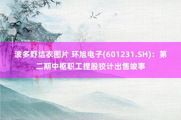 波多野结衣图片 环旭电子(601231.SH)：第二期中枢职工捏股狡计出售竣事