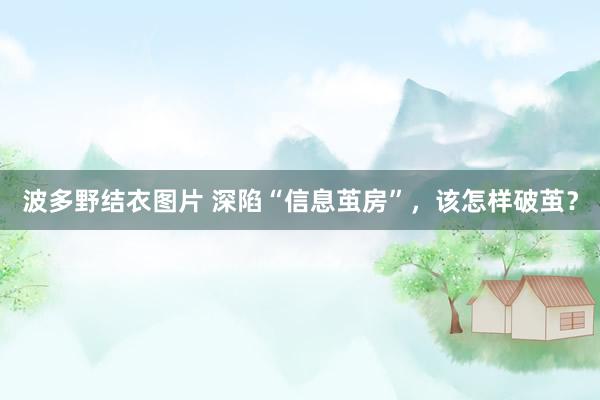 波多野结衣图片 深陷“信息茧房”，该怎样破茧？