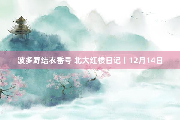 波多野结衣番号 北大红楼日记丨12月14日