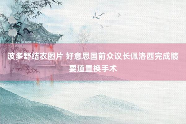 波多野结衣图片 好意思国前众议长佩洛西完成髋要道置换手术