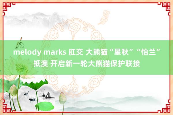 melody marks 肛交 大熊猫“星秋”“怡兰”抵澳 开启新一轮大熊猫保护联接