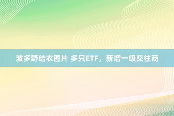 波多野结衣图片 多只ETF，新增一级交往商