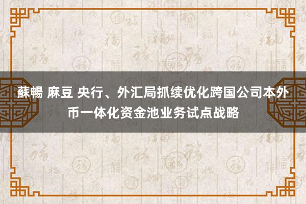 蘇暢 麻豆 央行、外汇局抓续优化跨国公司本外币一体化资金池业务试点战略
