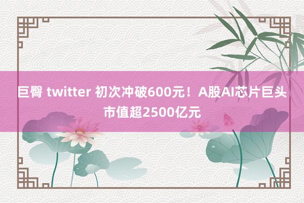 巨臀 twitter 初次冲破600元！A股AI芯片巨头市值超2500亿元