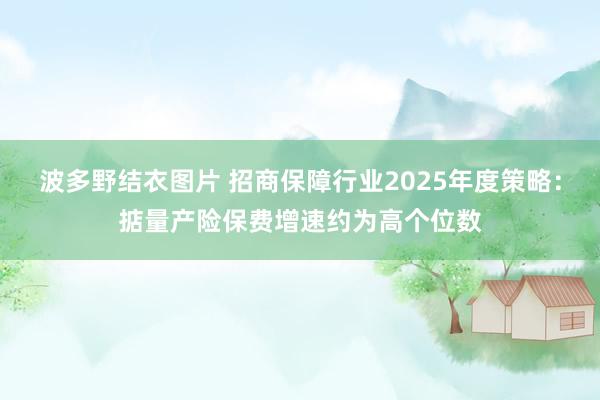 波多野结衣图片 招商保障行业2025年度策略：掂量产险保费增速约为高个位数