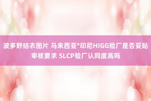 波多野结衣图片 马来西亚*印尼HIGG验厂是否妥贴审核要求 SLCP验厂认同度高吗