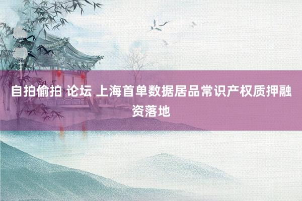 自拍偷拍 论坛 上海首单数据居品常识产权质押融资落地