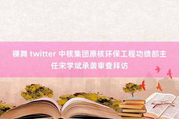 裸舞 twitter 中核集团原核环保工程功绩部主任宋学斌承袭审查拜访