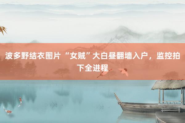 波多野结衣图片 “女贼”大白昼翻墙入户，监控拍下全进程