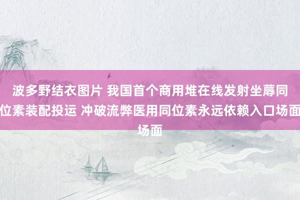 波多野结衣图片 我国首个商用堆在线发射坐蓐同位素装配投运 冲破流弊医用同位素永远依赖入口场面