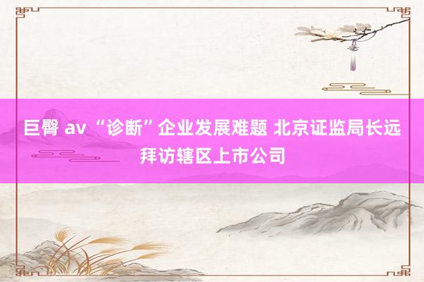 巨臀 av “诊断”企业发展难题 北京证监局长远拜访辖区上市公司
