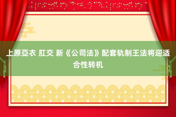 上原亞衣 肛交 新《公司法》配套轨制王法将迎适合性转机