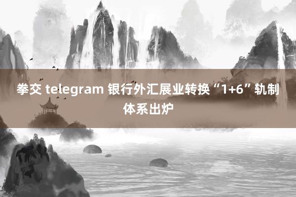 拳交 telegram 银行外汇展业转换“1+6”轨制体系出炉