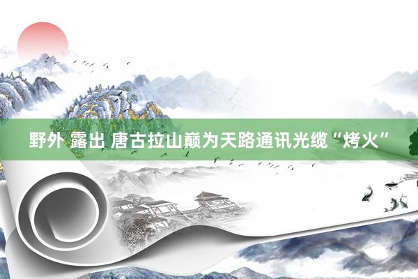 野外 露出 唐古拉山巅为天路通讯光缆“烤火”