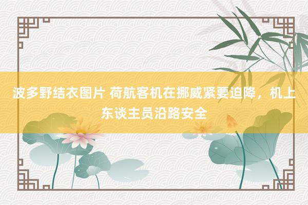 波多野结衣图片 荷航客机在挪威紧要迫降，机上东谈主员沿路安全