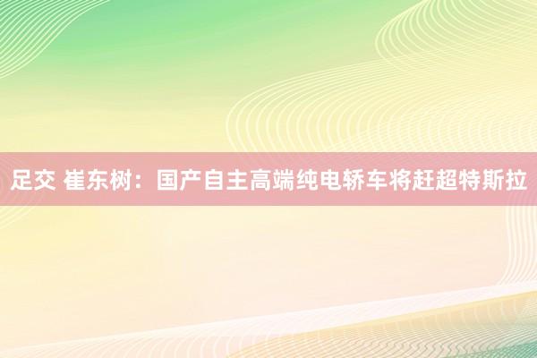 足交 崔东树：国产自主高端纯电轿车将赶超特斯拉