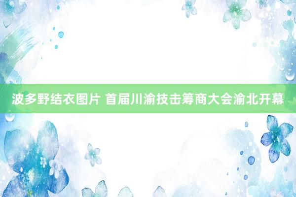 波多野结衣图片 首届川渝技击筹商大会渝北开幕