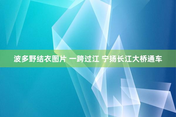 波多野结衣图片 一跨过江 宁扬长江大桥通车
