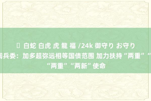 ✨白蛇 白虎 虎 龍 福 /24k 御守り お守り 国度发展阅兵委：加多超弥远相等国债范围 加力扶持“两重”“两新”使命