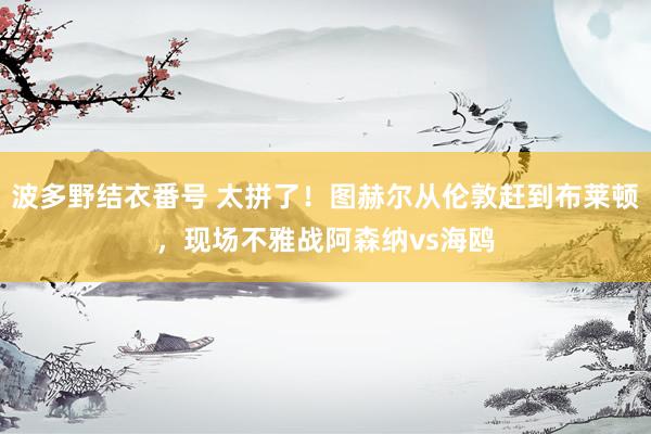 波多野结衣番号 太拼了！图赫尔从伦敦赶到布莱顿，现场不雅战阿森纳vs海鸥