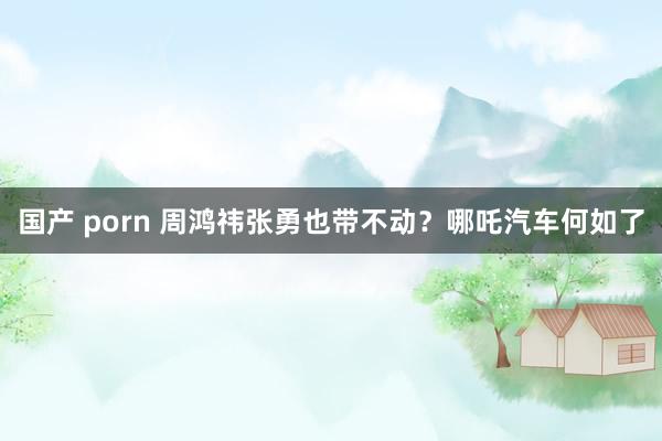 国产 porn 周鸿祎张勇也带不动？哪吒汽车何如了