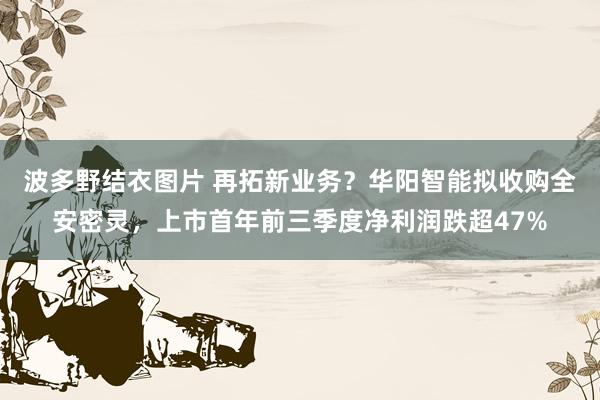 波多野结衣图片 再拓新业务？华阳智能拟收购全安密灵，上市首年前三季度净利润跌超47%
