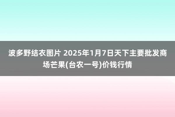 波多野结衣图片 2025年1月7日天下主要批发商场芒果(台农一号)价钱行情