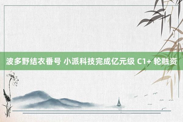 波多野结衣番号 小派科技完成亿元级 C1+ 轮融资