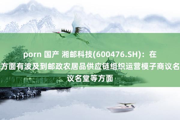 porn 国产 湘邮科技(600476.SH)：在办事三农方面有波及到邮政农居品供应链组织运营模子商议名堂等方面