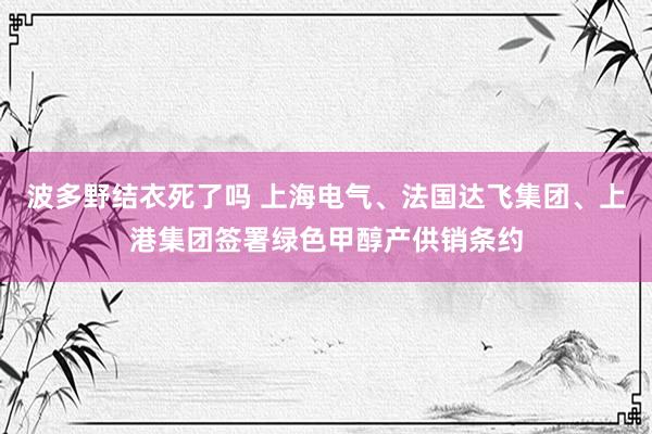 波多野结衣死了吗 上海电气、法国达飞集团、上港集团签署绿色甲醇产供销条约