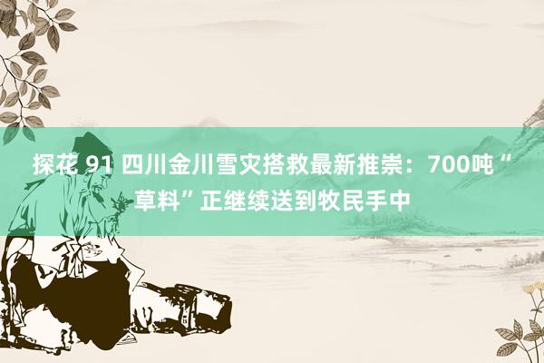 探花 91 四川金川雪灾搭救最新推崇：700吨“草料”正继续送到牧民手中