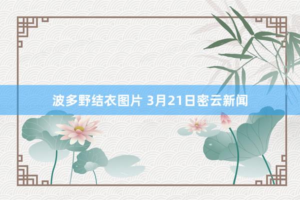 波多野结衣图片 3月21日密云新闻