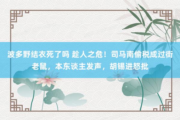 波多野结衣死了吗 趁人之危！司马南偷税成过街老鼠，本东谈主发声，胡锡进怒批