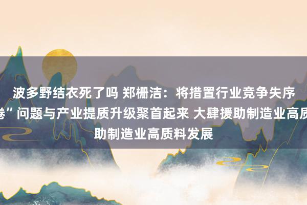 波多野结衣死了吗 郑栅洁：将措置行业竞争失序和“内卷”问题与产业提质升级聚首起来 大肆援助制造业高质料发展